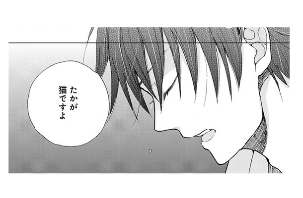 猫に癒されるとは? 理解できなくて、つい言ってしまった言葉。すると彼の表情が豹変して…【同居人はひざ、時々、頭のうえ。 #26】