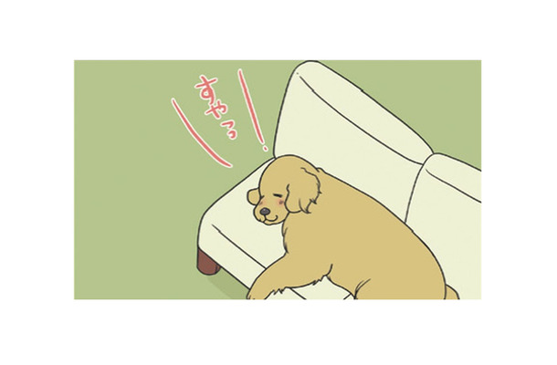 ソファを占領して眠る愛犬…大好きな洗濯物の匂いを確かめてまた夢の中へ？【おさんぽですし！　おしゃべり犬とイライラ猫の日記 #４】