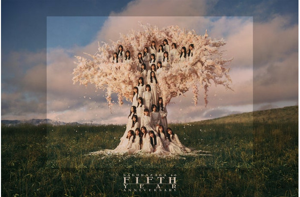 櫻坂46「5th YEAR ANNIVERSARY LIVE」キービジュアル（提供写真）