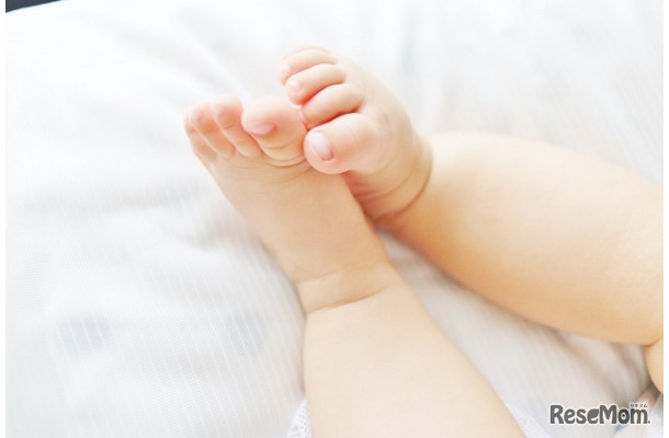 写真はイメージです