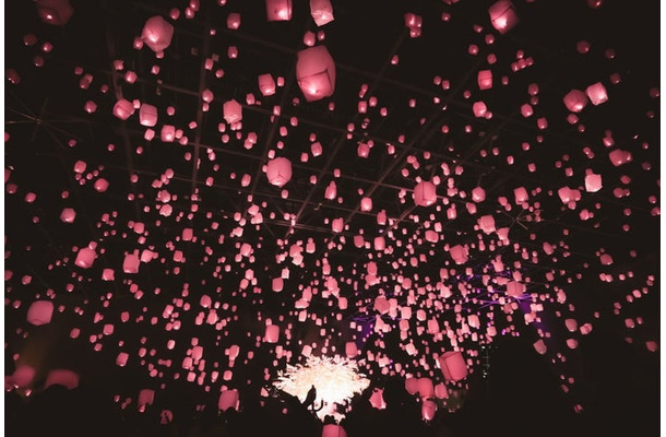 花見灯夜2026／提供画像