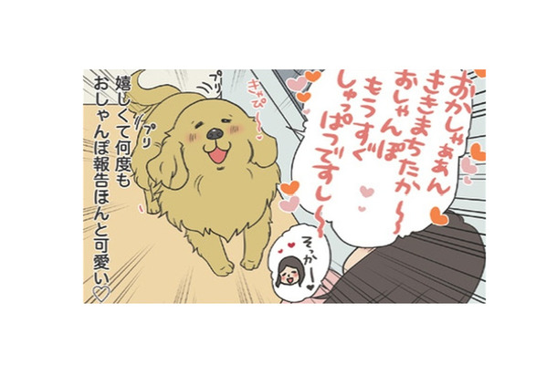 「お散歩行こうか」の声に大興奮…うれしくて何度も報告する愛犬の姿がかわいい【おさんぽですし! おしゃべり犬とイライラ猫の日記 #17】