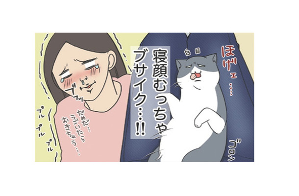 ツンデレだった愛猫が膝に乗ってくれるようになった寝顔むっちゃブサイクでたまらん【おさんぽですし！　おしゃべり犬とイライラ猫の日記 #20】