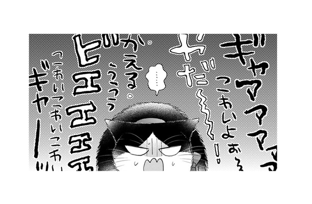 【猫視点】連れて来られたのは色んな子が泣いたり叫んだりしている場所! ここは一体何なの?【同居人はひざ、時々、頭のうえ。 #69】