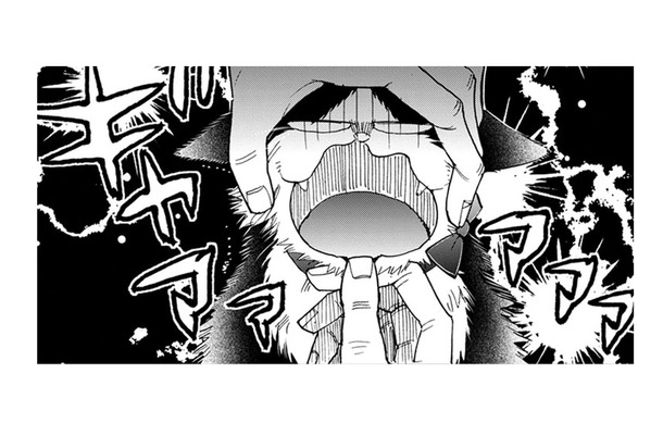 【猫視点】隣の猫も呼ばれて連れて行かれた… 次は私!?　弱みをみせたら負けよ!!【同居人はひざ、時々、頭のうえ。 #70】