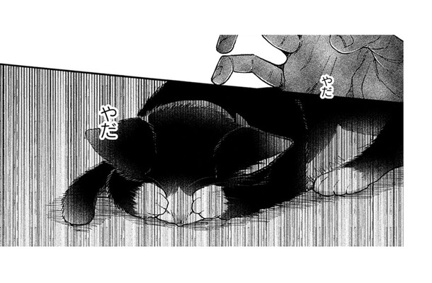 【猫視点】箱に入れられて知らない場所に置き去りに… あの子はそんな事はしない… よね？【同居人はひざ、時々、頭のうえ。 #73】