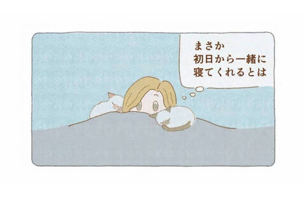 「いてくれるだけでいい」迷い猫たちと一緒に眠った夜から、家族がはじまった【夜が明けるとき猫がそばにいれば #８】