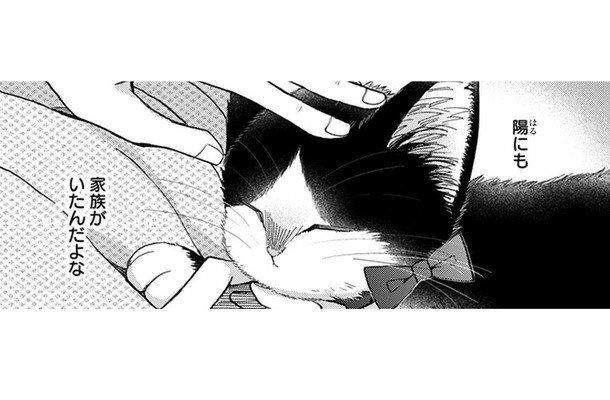 「家族」は顔やしぐさが似てくるって言われ、父と母の事を思い出す。 猫にもいたのかな…【同居人はひざ、時々、頭のうえ。 #77】