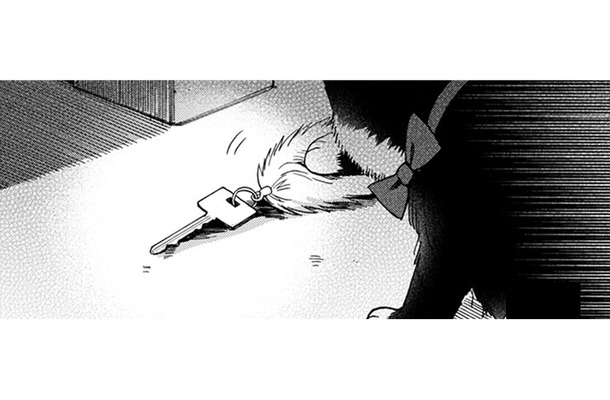 猫が何かを匂ってる… 家の鍵!? さっき帰るとき忘れていった? 連絡先がわからない…【同居人はひざ、時々、頭のうえ。 #78】