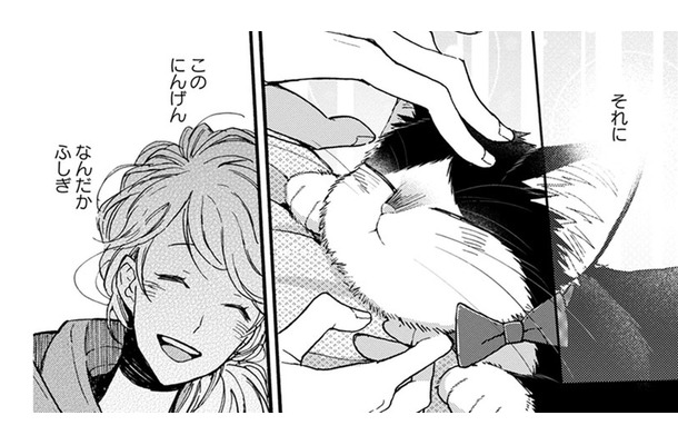 【猫視点】今日の人間はなかなかやるわねっ！ でも、なんでかしら？懐かしい気持ちになる…【同居人はひざ、時々、頭のうえ。 #81】