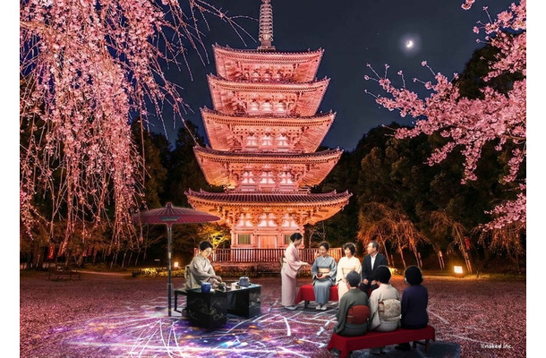 そうだ 京都、行こう。Presents NAKED meets 世界遺産 醍醐寺 —醍醐花見 ―／提供画像