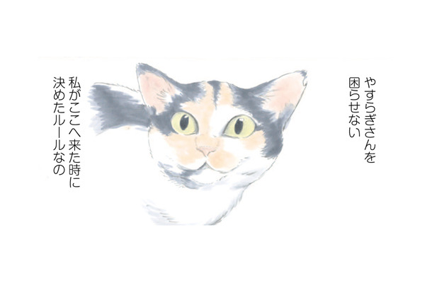 「やすらぎさんを困らせない」ことがミケちゃんのルール！ 飼い主を気遣う猫が健気で愛らしい【ミケちゃんとやすらぎさん #５】