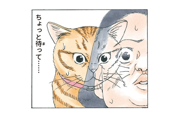 いつの間にかしっぽが2本に…動揺していたら人間にぶつかり、猫と人が入れ替わる!?【かのこちゃんとマドレーヌ夫人 #9】