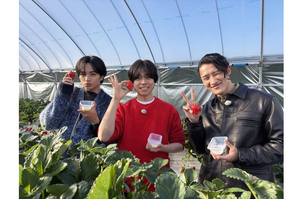 中島健人、重岡大毅、岩本照(C)テレビ朝日