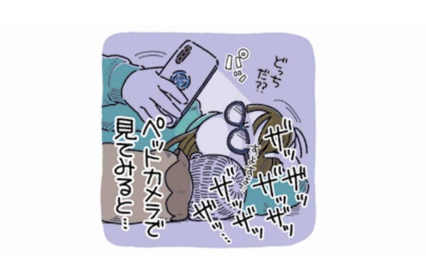 「ザッザッザッ」夜に響くトイレ音…ペットカメラに映っていたのは？【猫がおしりを向けてきます #２】