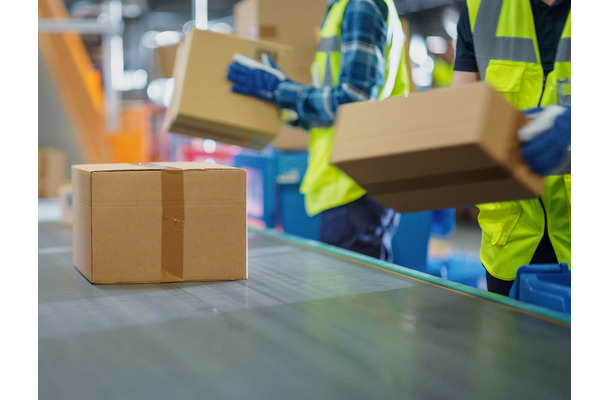 「スポーツのような爽快感」63歳男性の仕事探し。早朝4時、宅配便仕分けに挑戦。ギャルや主婦に混じって汗を流す