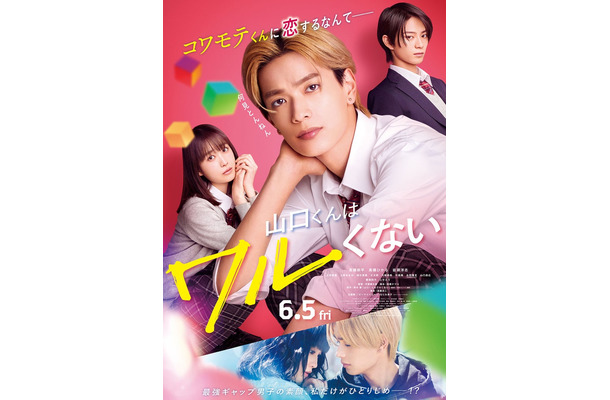 高橋ひかる、高橋恭平、岩瀬洋志「山口くんはワルくない」メインビジュアル（C）2026「山口くんはワルくない」製作委員会