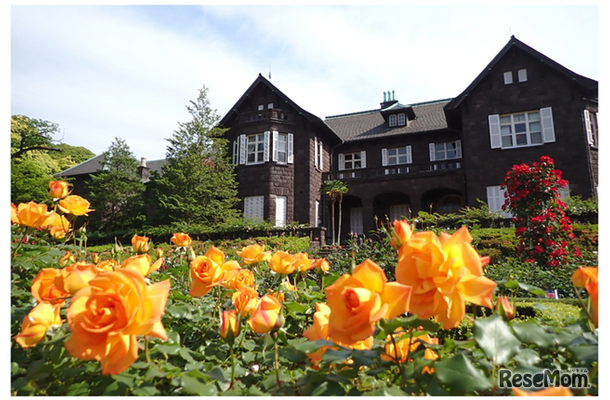 洋館と咲き誇るバラ（前年のようす）