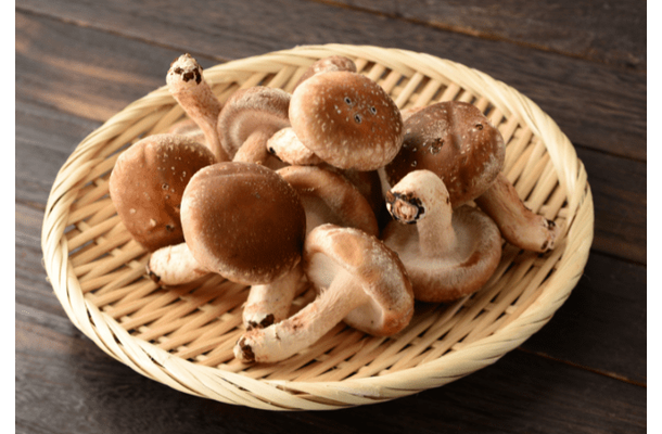 夏休みに「祖父のしいたけ栽培」を手伝った8歳の娘　思い出を綴った作文が”驚きのニュース”に「胸いっぱい」