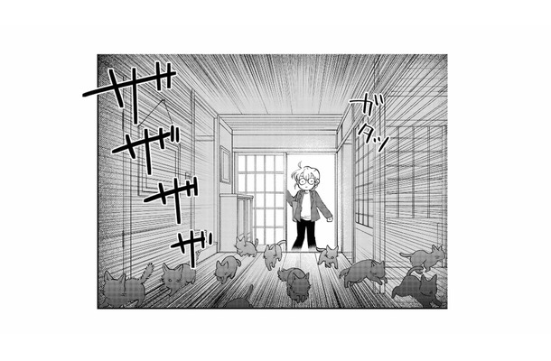 猫の後を追ってたどり着いた先は“猫屋敷”!? 玄関を覗くと現れた人物とは…？【家政婦よんだら猫がきた #15】