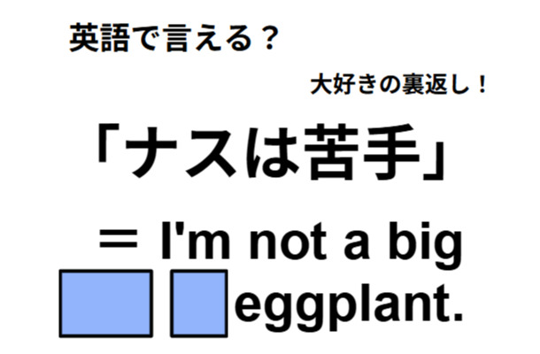 英語で「ナスは苦手」は何て言う？