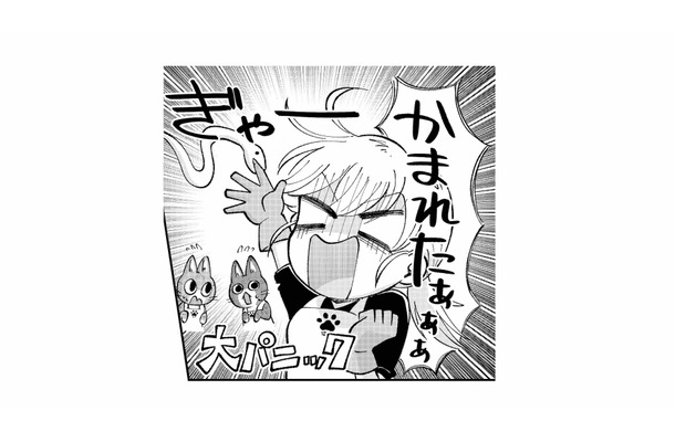 蛇に噛まれて大パニック！逃げられちゃう!? 飼い主のアドバイス通りにしてみると…【家政婦よんだら猫がきた #20】