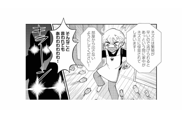 引き出しを開けた瞬間、ネズミが飛び出した!パニックの私を猫たちが…!?【家政婦よんだら猫がきた #22】