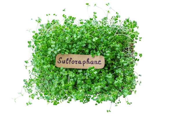 血糖値が10%ダウン、肝臓の数値も10%以上改善。エビデンスが証明するスーパー野菜「ブロッコリースプラウト」の実力とは【お茶の水女子大 食物栄養学科教授が解説】