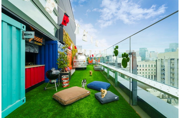 DOG RUN & BBQ Beer Garden／提供画像