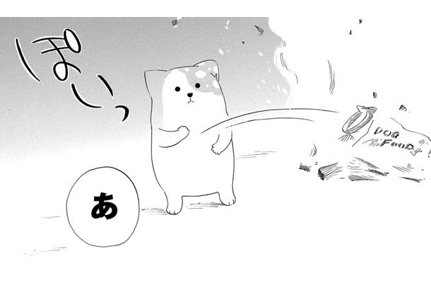 亡き愛犬の首輪が燃えてしまった…だけど、胸につかえていた後悔も、一緒に消えていくようで【きのこいぬ #４】