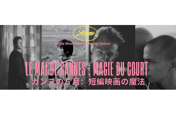 「カンヌの5月：短編映画の魔法」