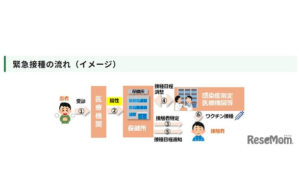 緊急接種の流れ（イメージ）