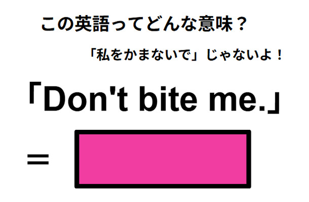 この英語ってどんな意味?「Don’t bite me.」