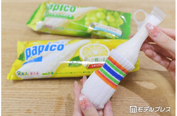 パピコと専用「パピコセーター」（C）モデルプレス