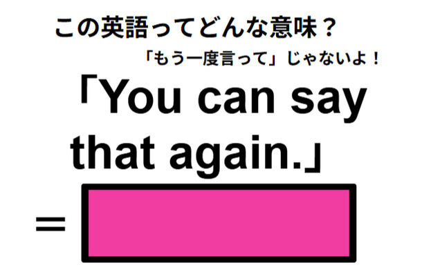 この英語ってどんな意味?「You can say that again.」