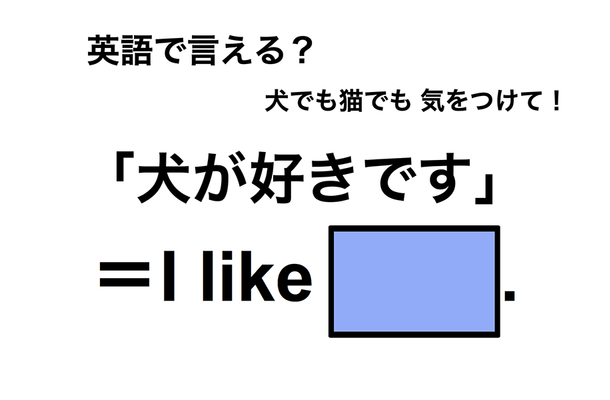 英語で「犬が好きです」は何て言う?
