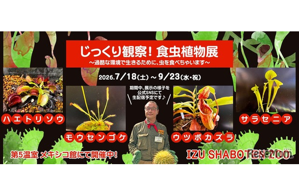 「じっくり観察！食虫植物展」