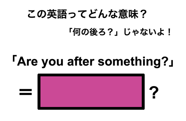 この英語ってどんな意味?「Are you after something?」