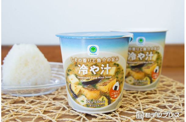 夏バテを乗り切る救世主「冷や汁」を実食レポ(C)モデルプレス
