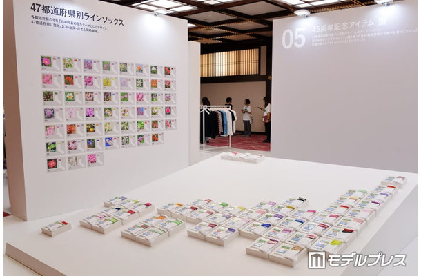 47都道府県別ラインソックス（C）モデルプレス