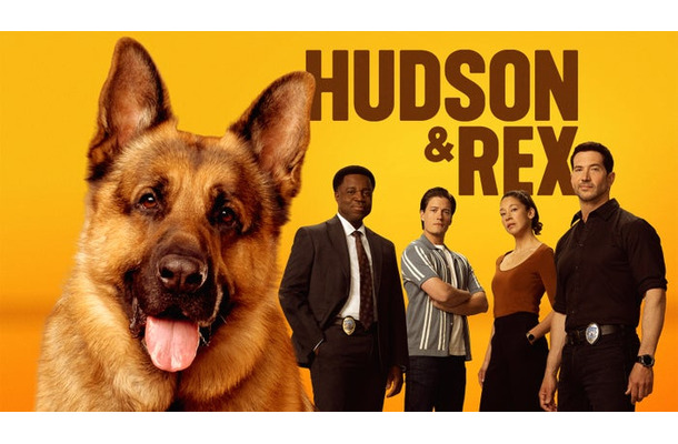 「ハドソン&レックス~セントジョンズ警察シェパード犬刑事」(C)2025 Shaftesbury Rex VIII Inc. Pope Rex Season 8 Inc.