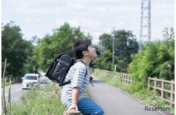 画像はイメージ