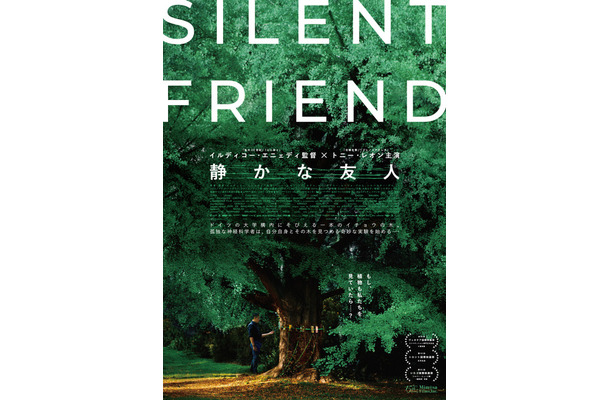 『静かな友人』© 2025 PANDORA FILM - GALATEE FILMS - INFORG-M&M FILM - ARTE FRANCE CINEMA