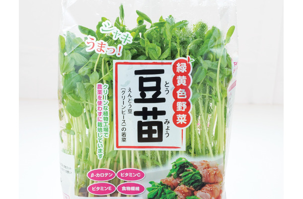 その豆苗、本当に新鮮？ プロが教える「おいしい豆苗」の見分け方と長持ちさせる保存術