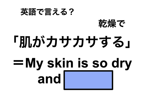 英語で「肌がカサカサする」は何て言う？