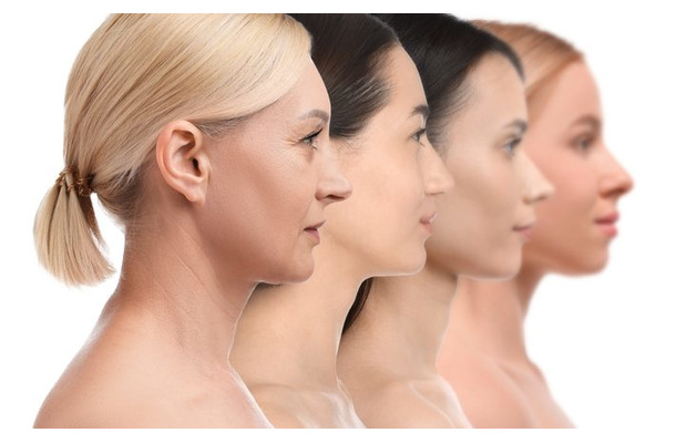 30代から激減、60代で枯渇!? 体内の「若返りタンパク質」を2.8倍に増やす“2つの最強習慣”とは【新潟大教授が解説】