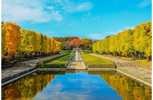 国営昭和記念公園／提供画像