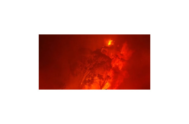 欧州も異常気象…サッカーチーム、最悪の山火事被災者に試合収益を全て寄付