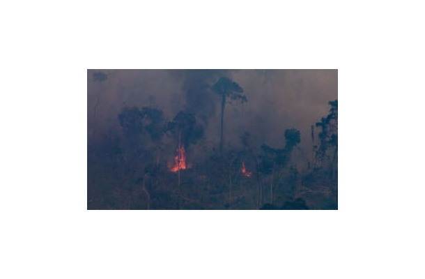 ブラジルの森林火災で試合が中断！「火が見える」衝撃映像がこれ