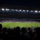 EURO2020決勝、ウェンブリーに虫の大群襲来か